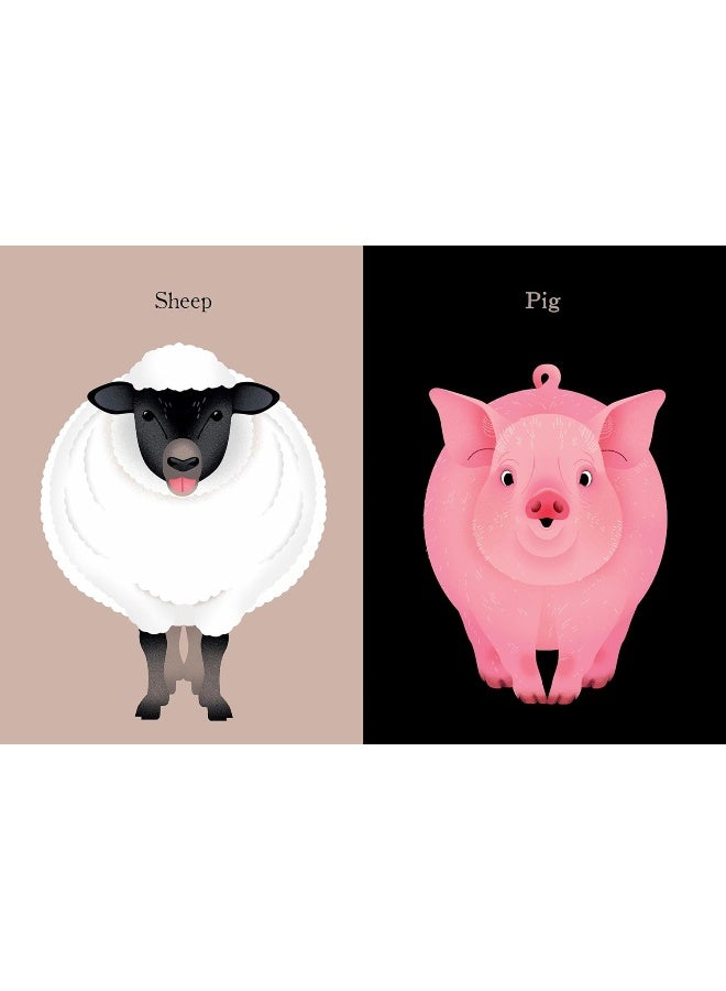 Animal Portraits  - Image 4