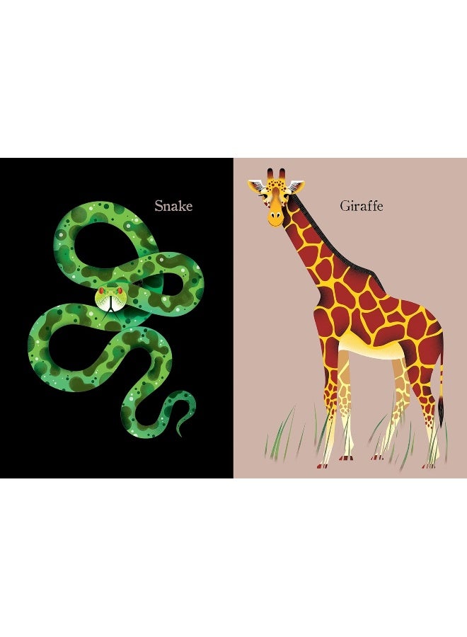 Animal Portraits  - Image 5