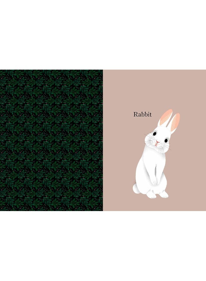 Animal Portraits  - Image 3
