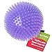 Gnawsome 45 Spiky Squeak Light Ball Dog Toy Extra Large Cleans teeth and Promotes Dental and Gum Health for Your Pet Colors will vary All Breed Sizes - Image 3