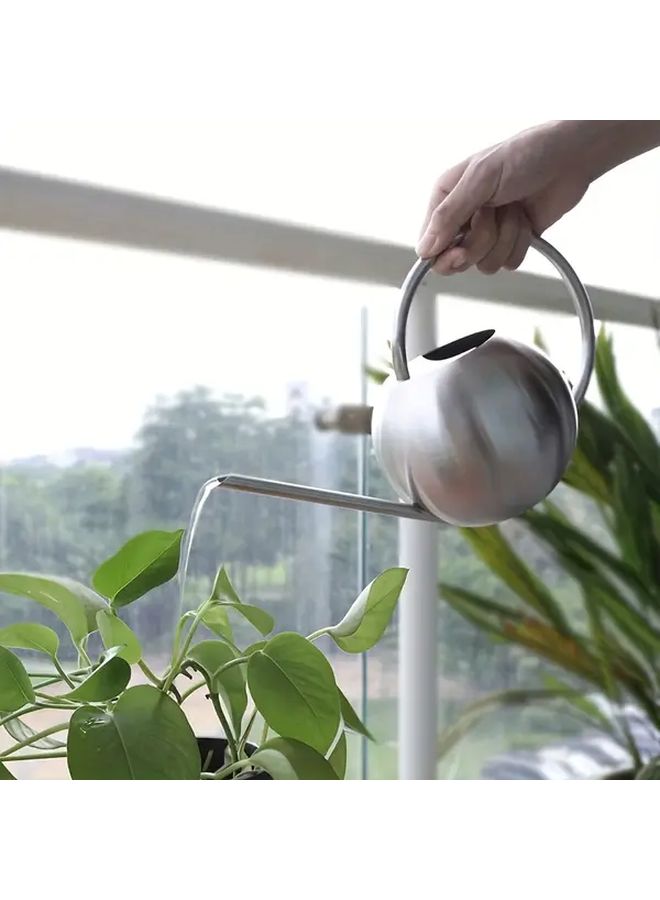 Silver Stainless Steel Plant Sprayer with Ergonomic Long Spout for Houseplant Watering - Image 1