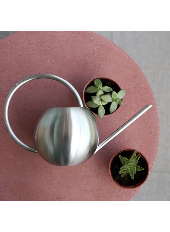 Silver Stainless Steel Plant Sprayer with Ergonomic Long Spout for Houseplant Watering - Image 2