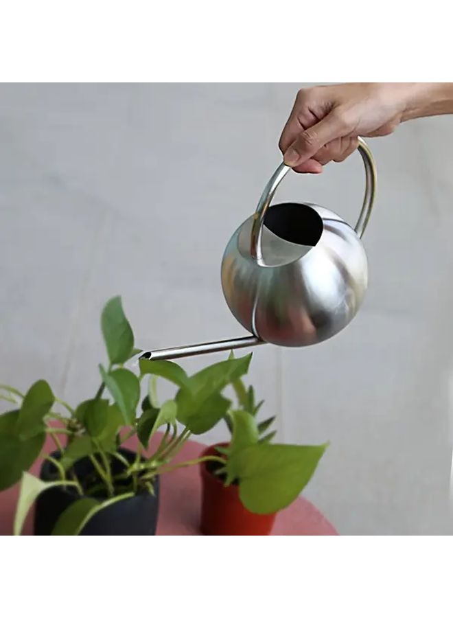 Silver Stainless Steel Plant Sprayer with Ergonomic Long Spout for Houseplant Watering - Image 5