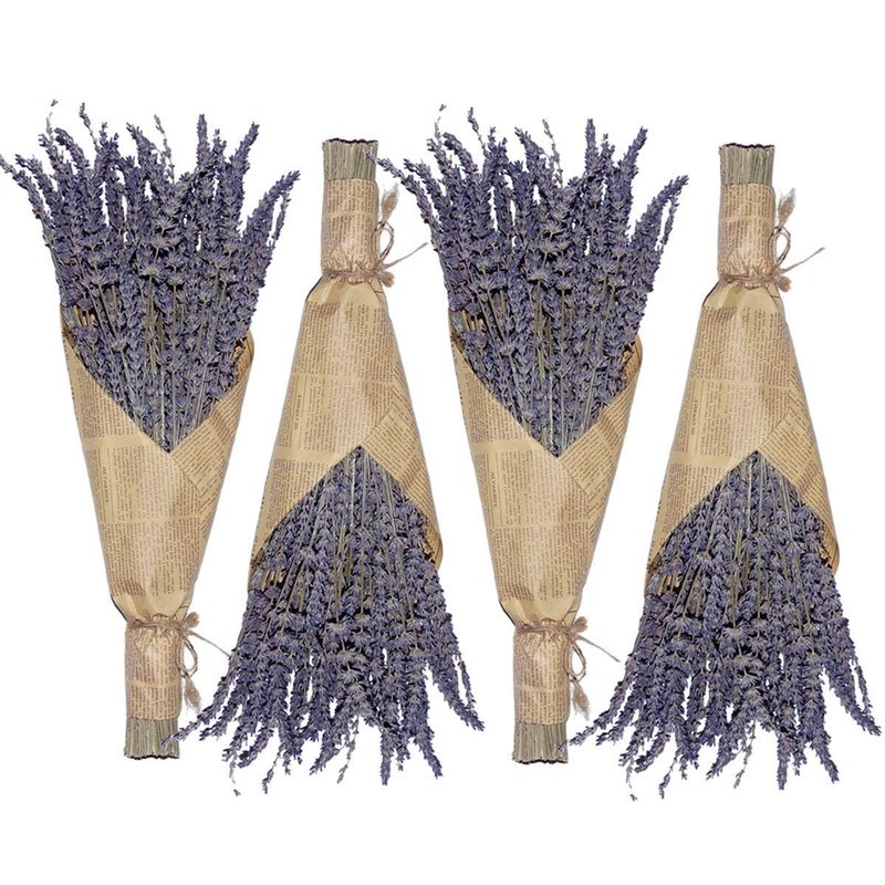 Cedar Space Lavender Dried Flowers 4 Bunches Dried Lavender Ideal Home Fragrance Products for Home Decorations Wedding Party Photography Flower Arrangements Total Length 16 Inches