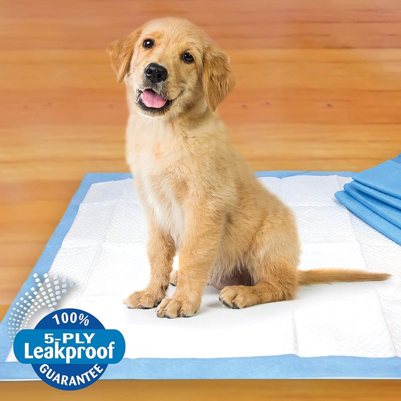 four paws PETSELECT PEE PADS FOR DOGS AND SMALL DOGS, 14 COUNT - 22X22 INCHES - Image 3