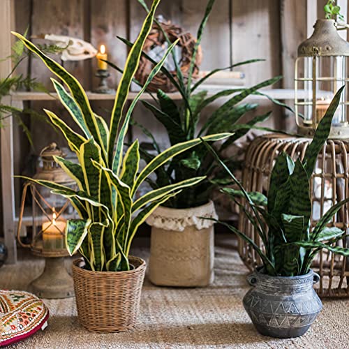 Beebel Artificial Snake Plant 22 Inch Fake Sansevieria Fake Agave Potted Plants Plastic Greenery for Home Garden Office Store Decoration 12 Leaves (Green) - Image 5