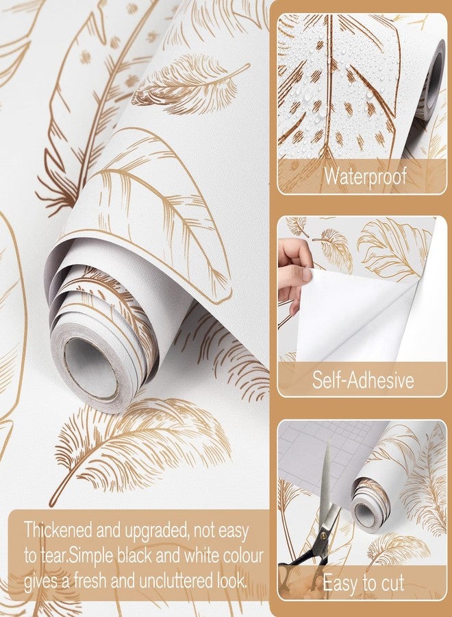 Qianglive White Peel and Stick Wallpaper 17.3"x80" Feather Wallpaper Removable Modern Vinyl Wall Paper Waterproof Contact Paper Shelf Paper Drawer Liner Roll for Bedroom Living Room - Image 2