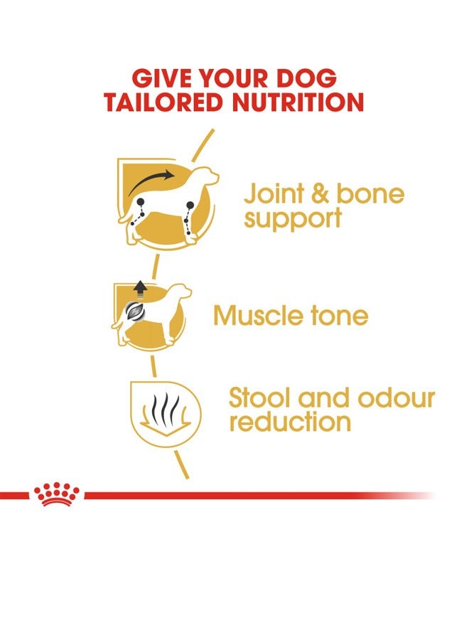 ROYAL CANIN Breed Health Nutrition Dachshund Adult 1.5 KG - Image 3