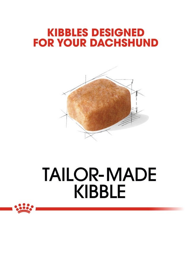 ROYAL CANIN Breed Health Nutrition Dachshund Adult 1.5 KG - Image 4