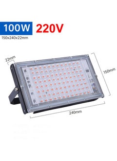 Thoraya Indoor Plant Growing Lamp Full Spectrum LED Grow Light for Succulents Mini Bonsai  - Image 5