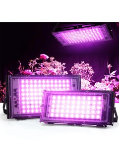 Thoraya Indoor Plant Growing Lamp Full Spectrum LED Grow Light for Succulents Mini Bonsai  - Image 4