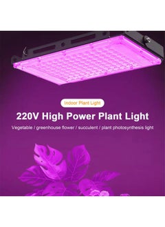 Thoraya Indoor Plant Growing Lamp Full Spectrum LED Grow Light for Succulents Mini Bonsai  - Image 1