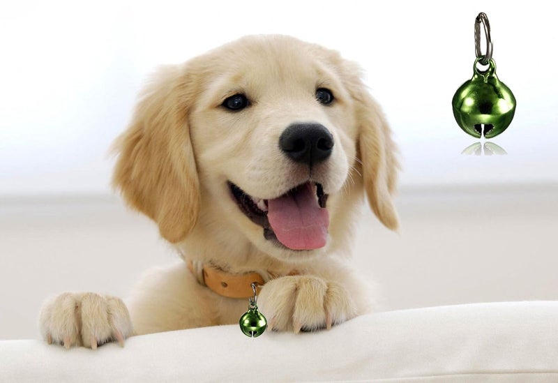 Bell Collar Tag Cum Pendant for Dog/Puppy/Kitten/Cat (Green)