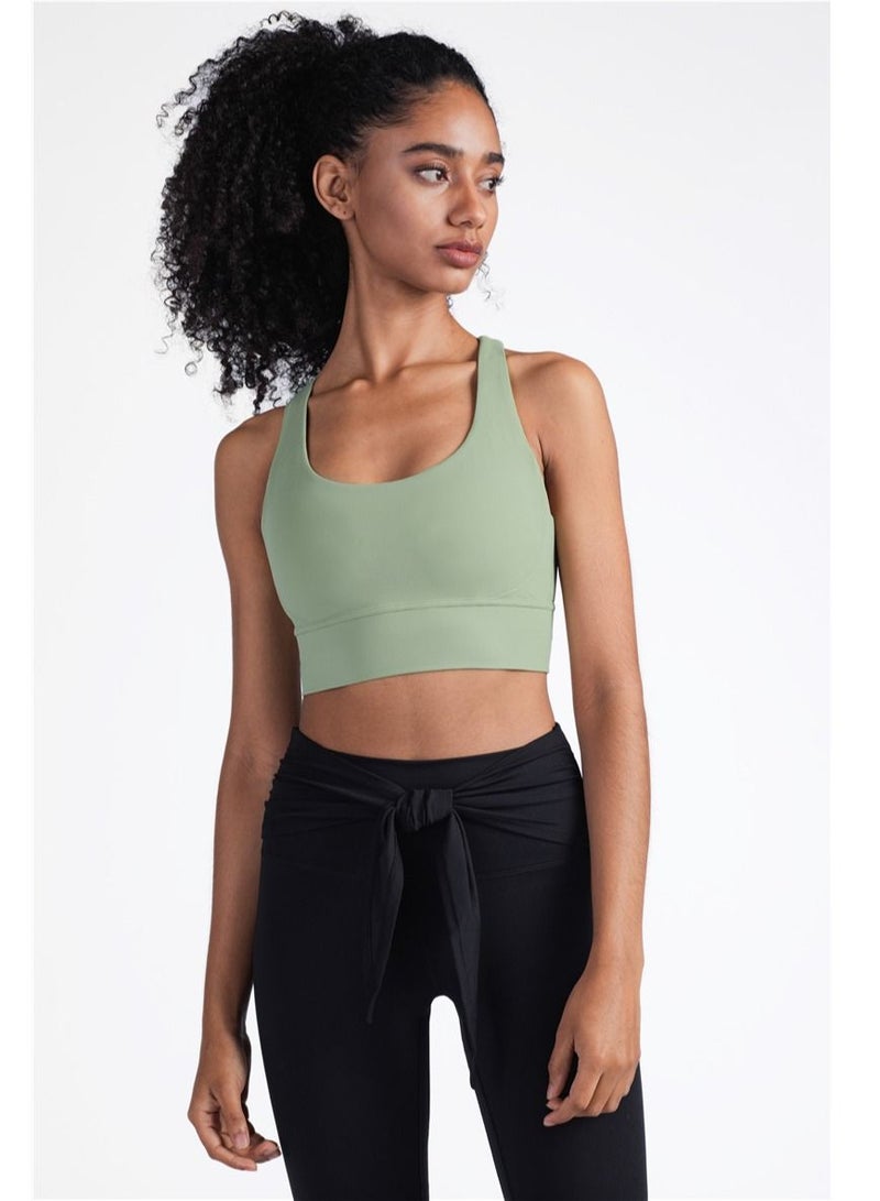 Loquat Ladies Sports Bra - Image 1