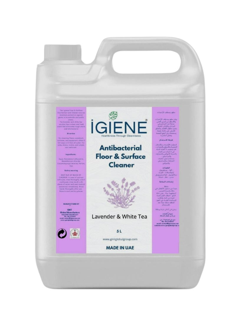 IGIENE Antibacterial Floor & Surface Cleaner Lavender & White Tea 5L