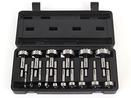 YONICO 41160S Forstner Drill Bit Set 16 Piece with Case 3/8-Inch Shank Hardwood and Softwood Hole Drilling for Handheld Drill and Drill Press - Image 1