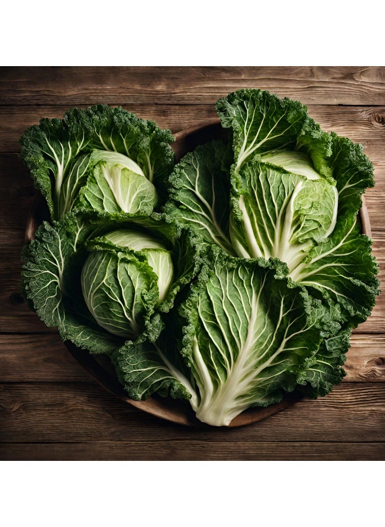 GROW Cabbage seeds al-fajr  - Image 2