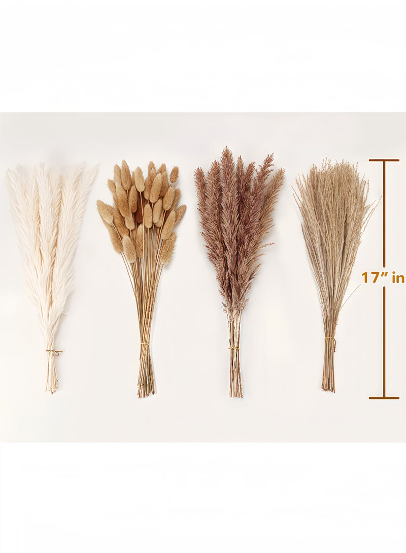 fantasize Dried Pampas Grass Decor, 100pcs Pampas Grass Contains Bunny Tails Dried Flowers, Reed Grass Bouquet for Wedding Boho Flowers Home Table Decor, Rustic Farmhouse Party (White and Brown) - Image 2