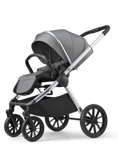 Reversible Baby Stroller with 5 Point Safety Harness, Forward & Rear Facing, Height Adjustable Handlebar, 0-36 Months, Grey & Silver - BJ02GS