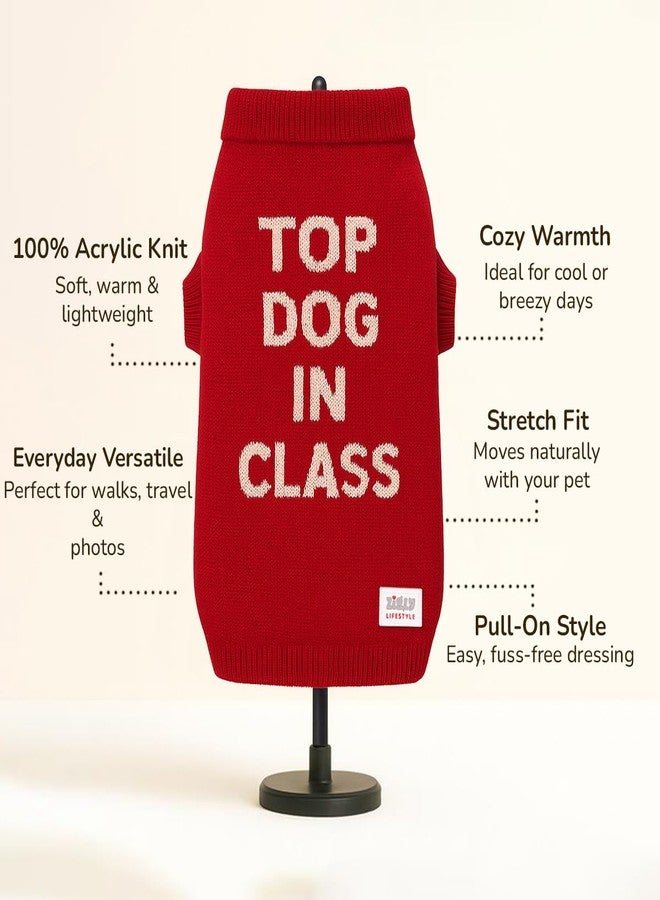 Zigly Lifestyle Varsity Top Pup Scholar Dog Sweater - Red | Knitted Pet Pullover | Warm Winter Wear for Dogs | Soft, Stretchable & Easy to Wear Pet Sweater Size - 2XL - Image 2