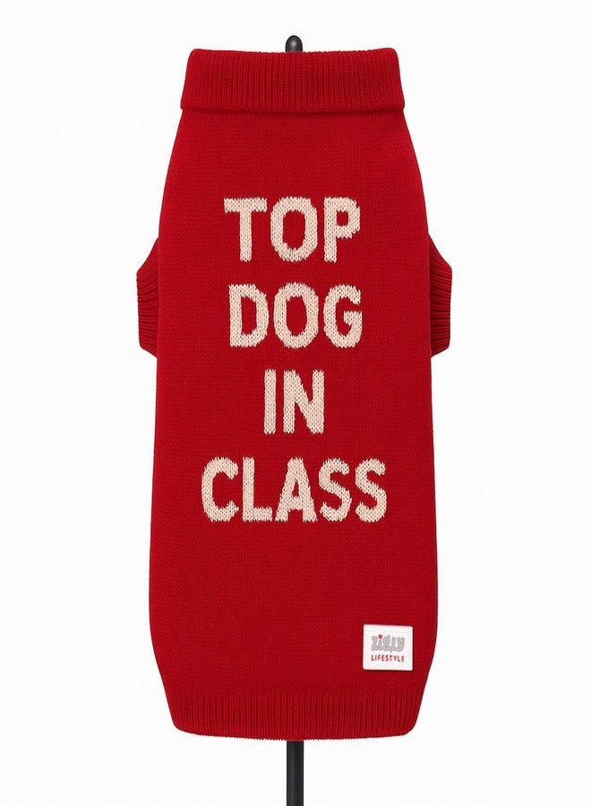 Zigly Lifestyle Varsity Top Pup Scholar Dog Sweater - Red | Knitted Pet Pullover | Warm Winter Wear for Dogs | Soft, Stretchable & Easy to Wear Pet Sweater Size - 2XL - Image 5