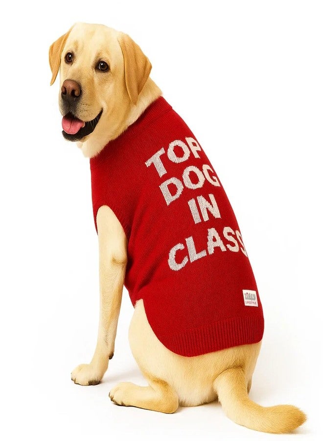 Zigly Lifestyle Varsity Top Pup Scholar Dog Sweater - Red | Knitted Pet Pullover | Warm Winter Wear for Dogs | Soft, Stretchable & Easy to Wear Pet Sweater Size - 2XL - Image 1