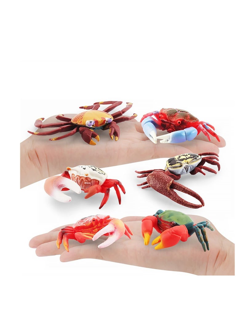Zikra 6 PCS Realistic Crab Figurine, Plastic Marine Animal Crab Figure, Simulated Crab Model for Party Favors Supplies, Cake Toppers Decoration - Image 3