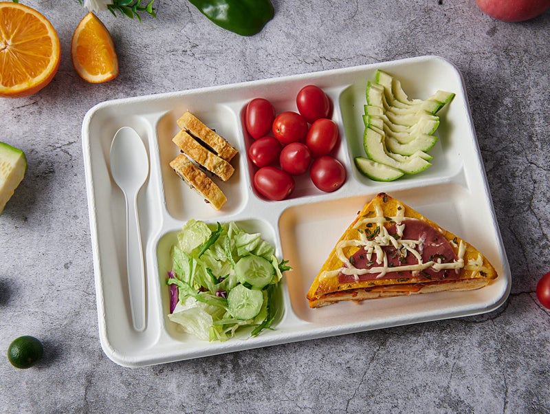 Vplus 100% Compostable 6 Compartment Plates, 90 Pack Compartment Paper Plate, 12.5x8.6 inch Disposable School Lunch Trays, Eco-Friendly Bagasse Plates for School Lunch, Buffet, and Party - Image 4