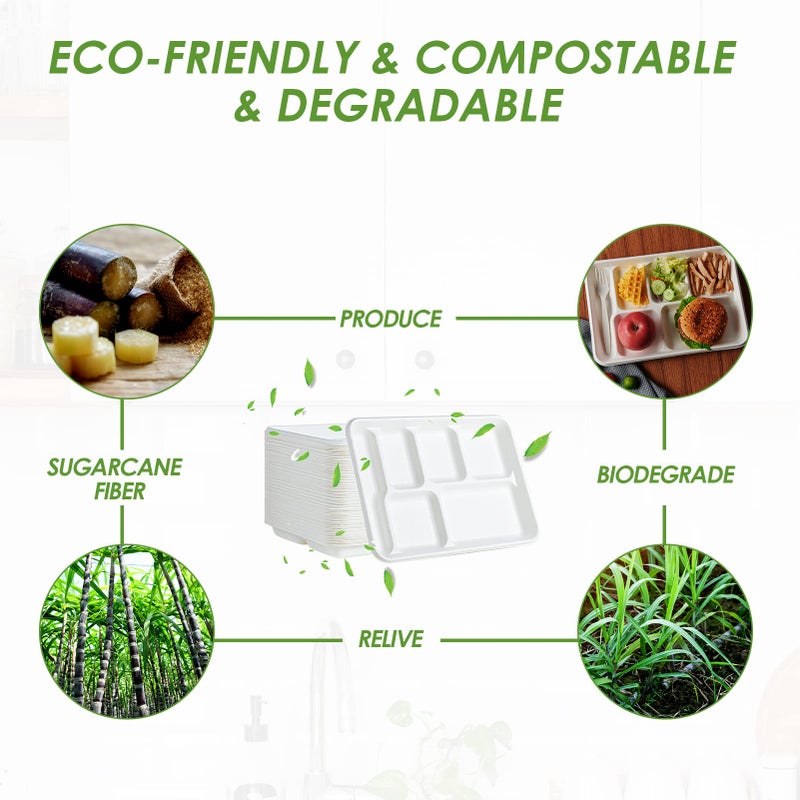 Vplus 100% Compostable 6 Compartment Plates, 90 Pack Compartment Paper Plate, 12.5x8.6 inch Disposable School Lunch Trays, Eco-Friendly Bagasse Plates for School Lunch, Buffet, and Party - Image 5