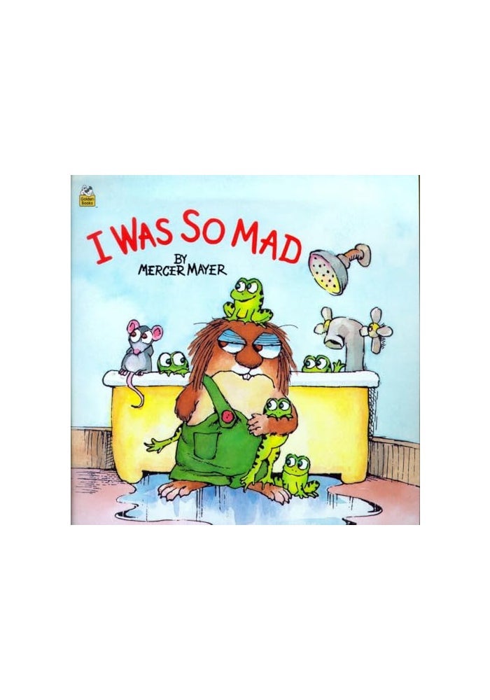 I Was So Mad (Little Critter)