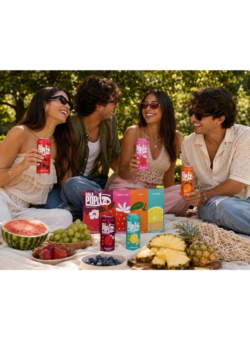 HalaPop Prebiotic Soda – Variety Pack | All-Natural Sparkling Beverage with Plant-Based Fiber to Support Gut & Digestive Wellness, No Added Sugar, 5 Flavor - 5 × 250 ml - Image 3