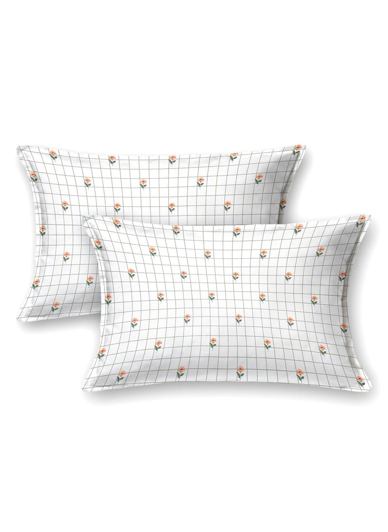 Bombay Dyeing Bombay Dyeing King Size Bedsheet 220 TC Cotton Premium Bedsheet & 2 Pillow Covers - King Size - 274 X 274 Cms - Fade Less Colors - Peach  - Image 4