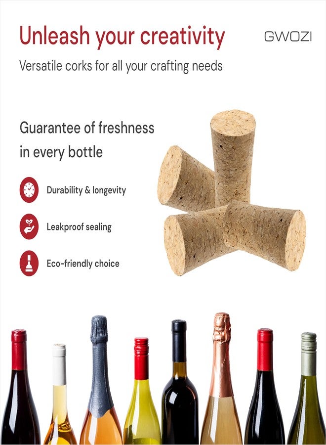 سدادات فلين لزجاجات النبيذ - سدادات فلين خشبية ناعمة للأعمال اليدوية، 12 قطعة - سدادات فلين مدببة لزجاجات النبيذ - سدادات/أغطية فلين لزجاجات النبيذ والبيرة والمشروبات الكحولية لصنع الحرف اليدوية، مانعة للتسرب، 1.57 × 0.98 بوصة - Image 4