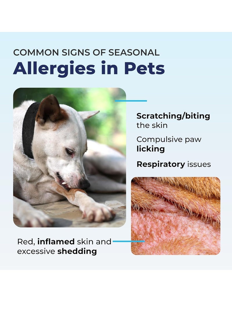 Vetnique - Dermabliss Anti Itch and Allergy Relief Medicated Dog Shampoo for Allergies and Itching with 1 percent Pramoxine HCL Safflower Seed Oil and Oat Extract for Dogs and Cats - Image 1