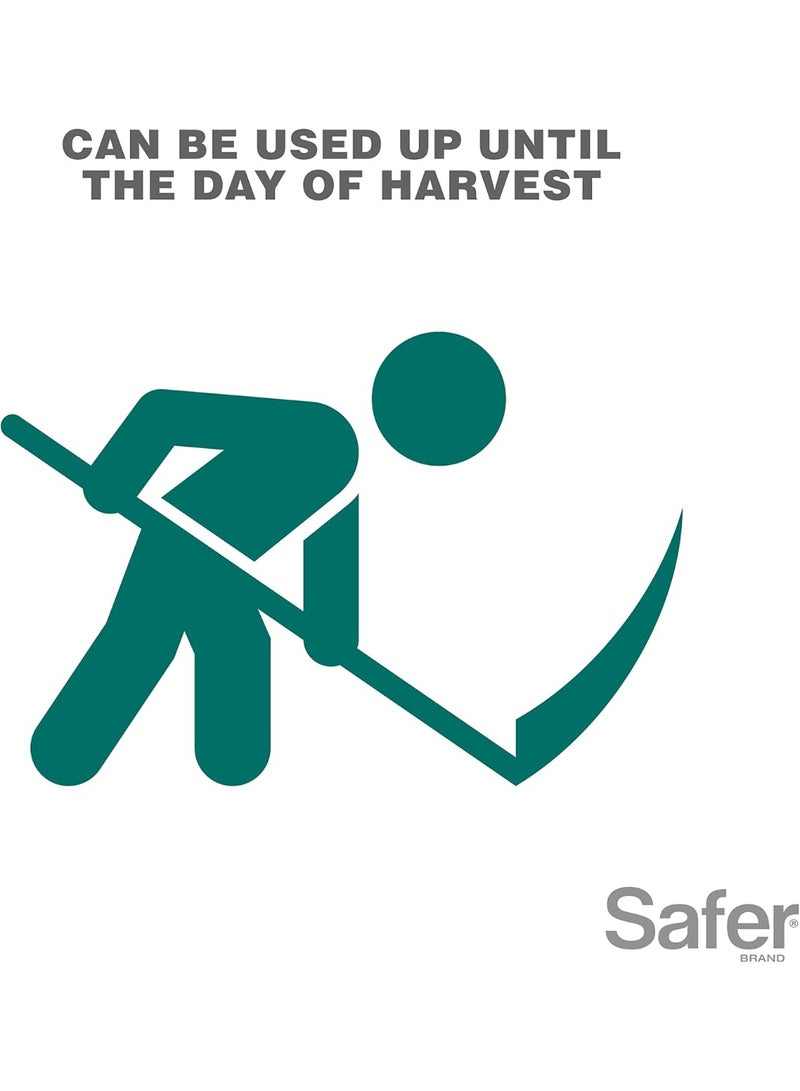 Safer BRAND Safer Insect Killing Soap Concentrate - Insecticidal Soap for Plants - Kills Aphids, Whiteflies, Thrips, Spider Mites, and More Omri Listed for Organic Use - Image 5