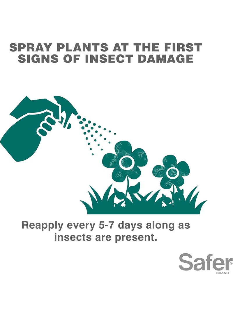 Safer BRAND Safer Insect Killing Soap Concentrate - Insecticidal Soap for Plants - Kills Aphids, Whiteflies, Thrips, Spider Mites, and More Omri Listed for Organic Use - Image 4