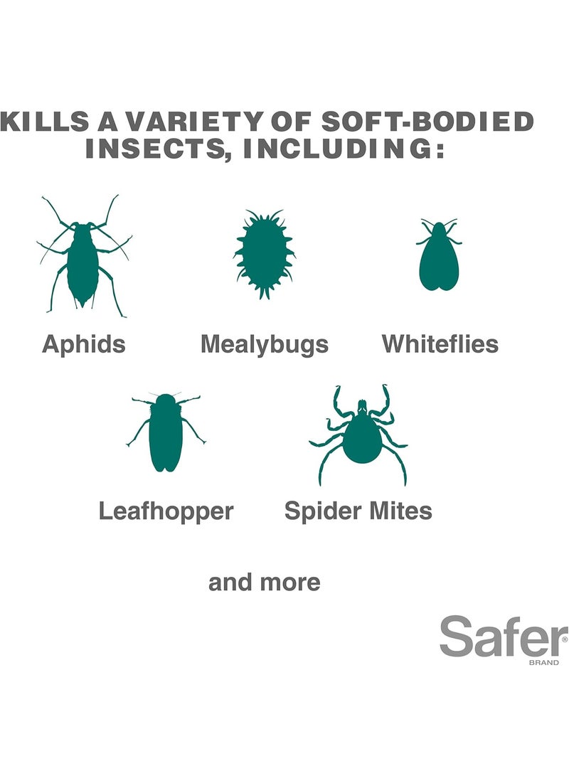 Safer BRAND Safer Insect Killing Soap Concentrate - Insecticidal Soap for Plants - Kills Aphids, Whiteflies, Thrips, Spider Mites, and More Omri Listed for Organic Use - Image 3