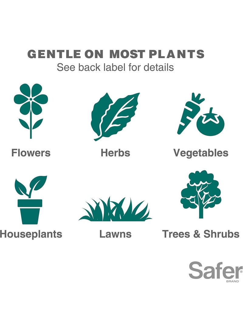 Safer BRAND Safer Insect Killing Soap Concentrate - Insecticidal Soap for Plants - Kills Aphids, Whiteflies, Thrips, Spider Mites, and More Omri Listed for Organic Use - Image 2