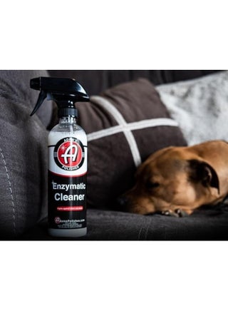 Enzymatic Cleaner 5 Gallon - Eliminate Stains & Odors From Extreme Bio-Based Messes - Water-Based, Non-Toxic All Purpose Interior Cleaner - Safe On All Surfaces In Your Home Or Vehicle - pzsku/Z4BFB5D18E20C9FB2696AZ/45/_/1723556500/835b5fa6-e483-4ce6-902f-fd1656fc1fcf