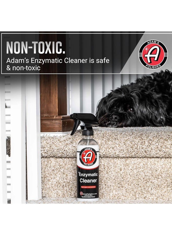 Enzymatic Cleaner 5 Gallon - Eliminate Stains & Odors From Extreme Bio-Based Messes - Water-Based, Non-Toxic All Purpose Interior Cleaner - Safe On All Surfaces In Your Home Or Vehicle