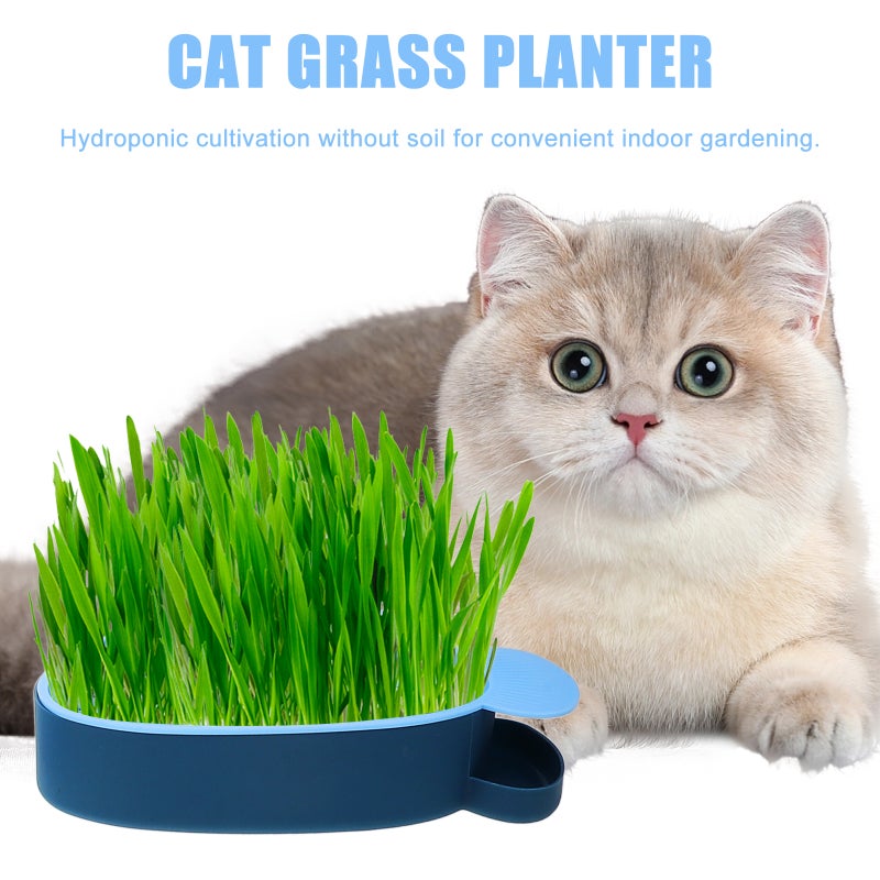 3pcs Practical Cat Plants Box Planting Box Household Cat Grass Plant Nursery Tray - Image 3