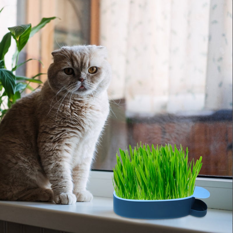 3pcs Practical Cat Plants Box Planting Box Household Cat Grass Plant Nursery Tray - Image 5