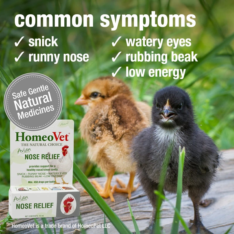 HomeoPet Avian Nose Relief, Safe and Natural Bird and Chicken Supplement, 15 Milliliters - Image 3