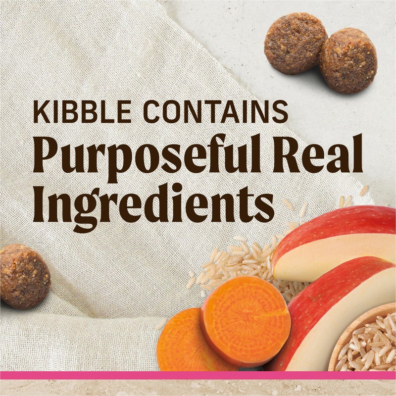 Merrick Healthy Grains Premium Dry Dog Food for Small Dogs, Wholesome and Natural Kibble, Small Breed Recipe - 12.0 lb. Bag - Image 3