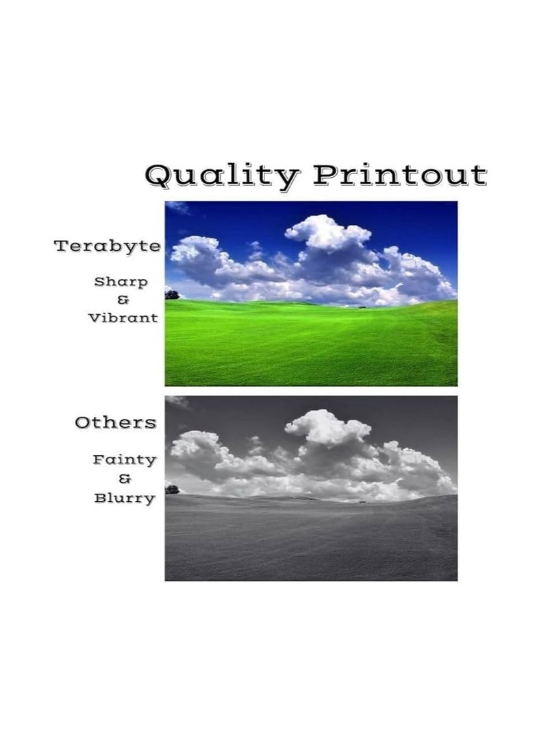 Terabyte DR-2255 Drum Unit for DCP-7060 7065 7055 HL-2130 2240 MFC-7860 and Fax 2840 - Image 3