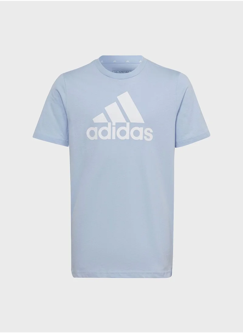 Adidas Essentials Big Logo Cotton T-Shirt