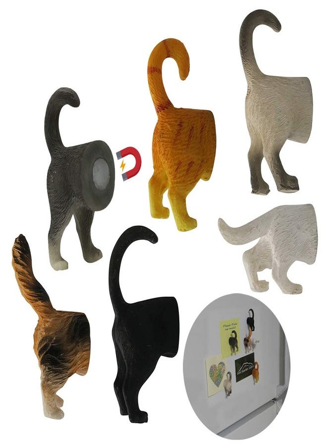 Evelots Cat Butt Magnets for Refrigerator -6 Pack- Funny Novelty Magnet for Hanging Notes, Photo, Key in Kitchen, Office, Locker - Image 1