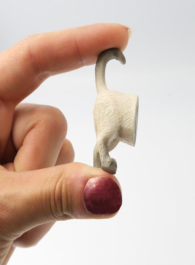 Evelots Cat Butt Magnets for Refrigerator -6 Pack- Funny Novelty Magnet for Hanging Notes, Photo, Key in Kitchen, Office, Locker - Image 5