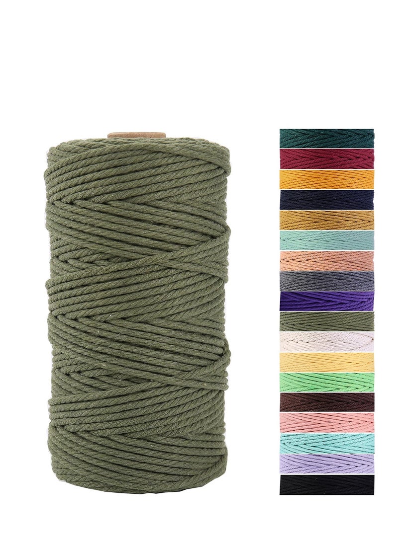SYOSI Olive Green Macrame Cord 3mm x 109Yards,Colored Cotton Rope Craft Cord Colorful Cotton Cord Twine for Wall Hanging Plant Hangers Crafts Knitting Decorative Projects 