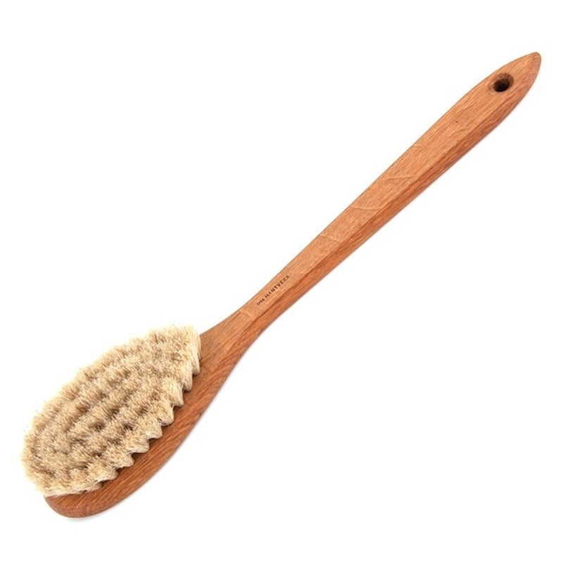 IRIS Horsehair Oak Bath Brush - Gentle Cleansing - Bath & Body - Image 1